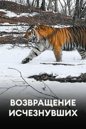 Возвращение исчезнувших