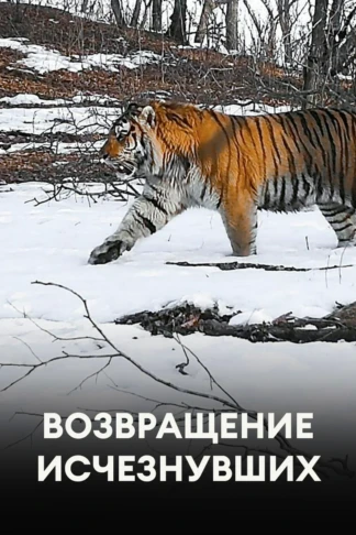 Возвращение исчезнувших
