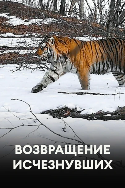 Возвращение исчезнувших