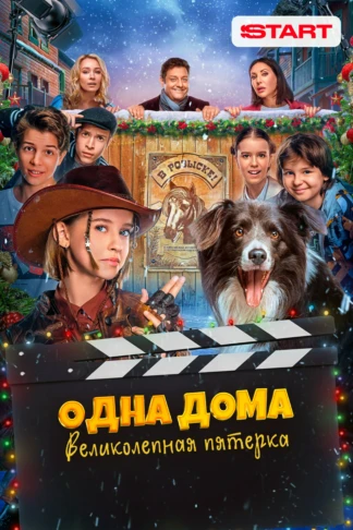Одна дома: Великолепная пятерка