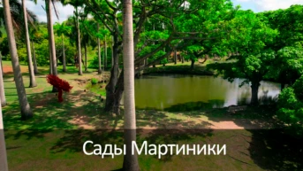 Сады Мартиники