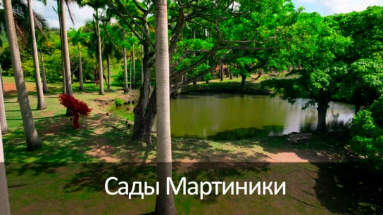 Сады Мартиники