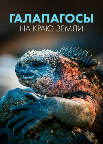 1 серия