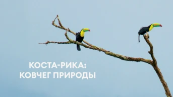 Коста-Рика: ковчег природы