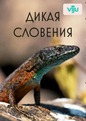 Дикая Словения