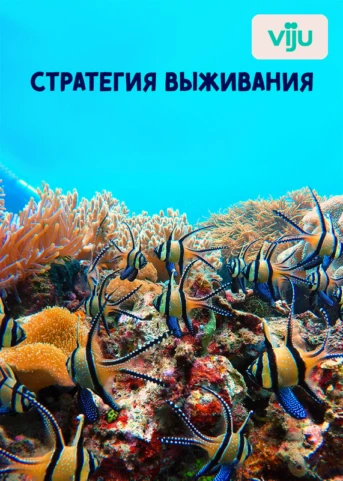1 серия