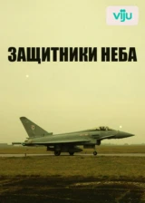 Защитники неба