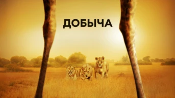 Добыча