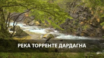 Река Торренте Дардагна