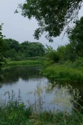 Река Щара Беларусь