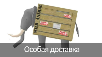 Особая доставка