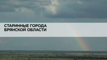 Старинные города Брянской области