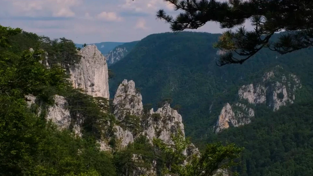 Передача Скалы Соколарица