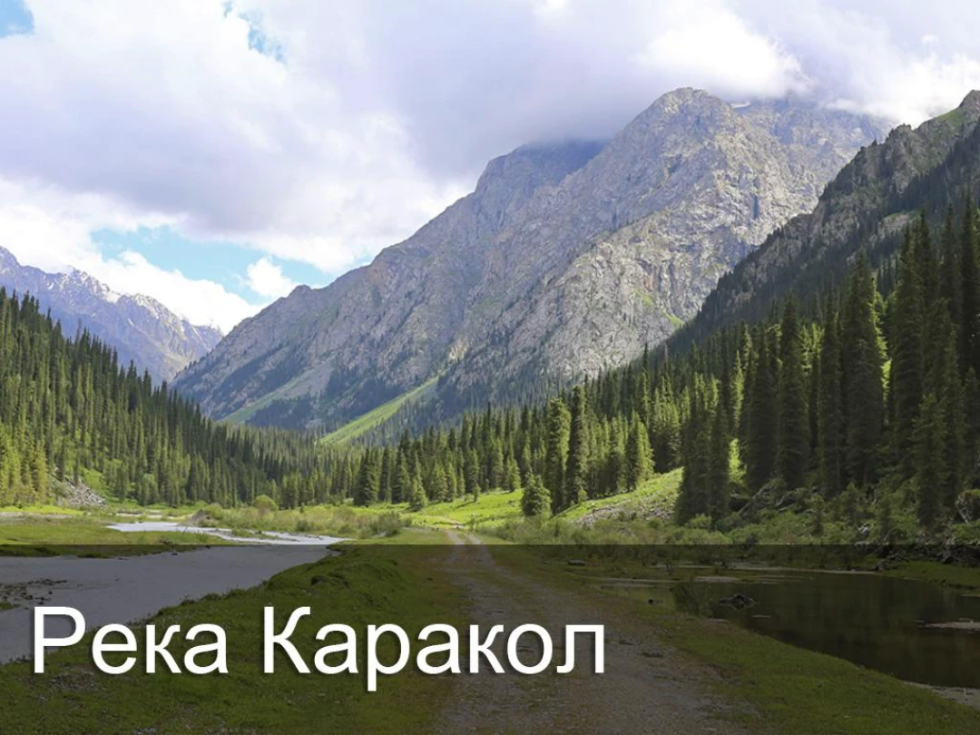 Передача Река Каракол