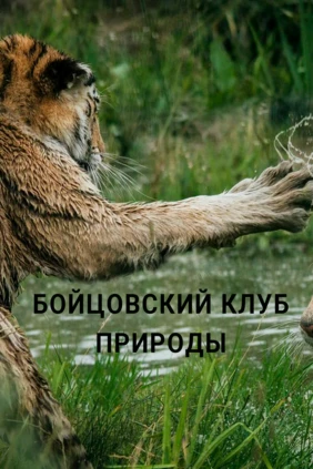 Бойцовский клуб природы