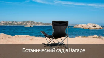 Ботанический сад в Катаре