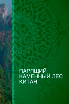 Парящий каменный лес Китая