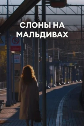 Слоны на Мальдивах