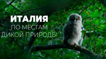 Италия