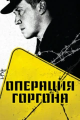 Операция 'Горгона'