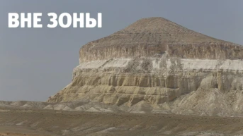 Вне зоны