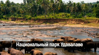 Национальный парк Удавалаве
