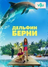 Дельфин Берни