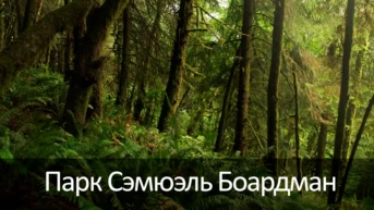 Парк Сэмюэль Боардман