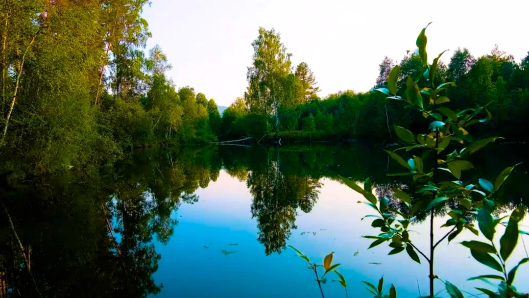 Передача Лесное озеро