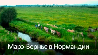 Марэ-Вернье в Нормандии