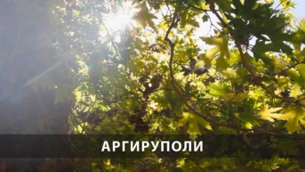 Аргируполи