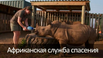 Африканская служба спасения