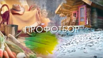 Профотбор