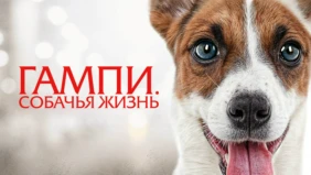 Трейлер 1