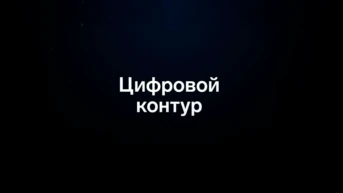 Цифровой контур