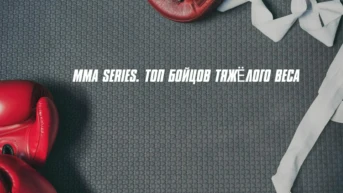 MMA Series. Топ бойцов тяжёлого веса