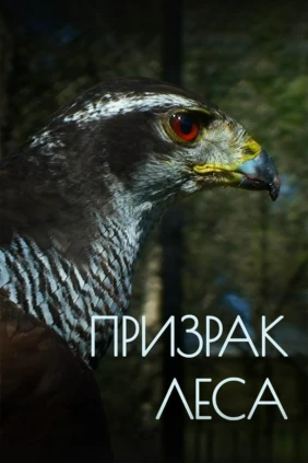 Призрак леса