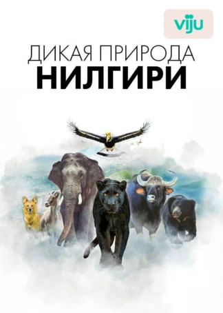 Дикая природа Нилгири