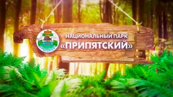 Припятский национальный парк