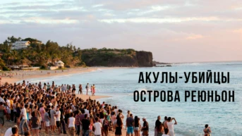 Акулы-убийцы острова Реюньон