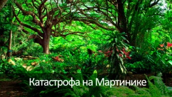 Катастрофа на Мартинике