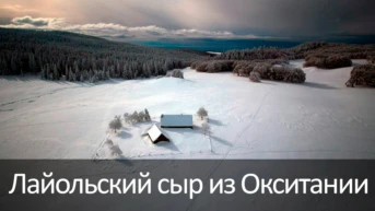 Лайольский сыр из Окситании