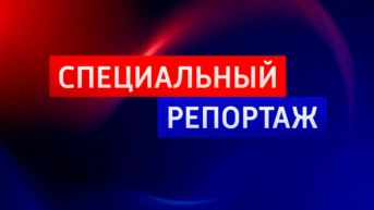 Репортаж