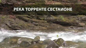 Река Торренте Сестаионе