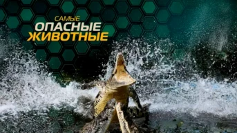 Самые опасные животные