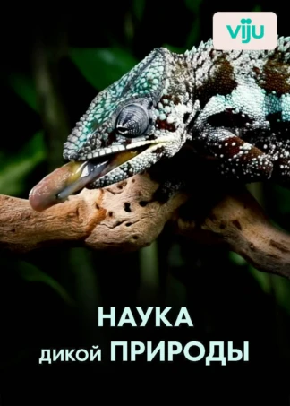Наука дикой природы