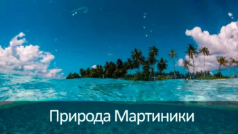 Природа Мартиники
