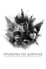 Проверка на дорогах