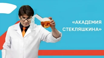 Академия Стекляшкина