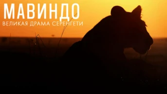 Мавиндо. Великая драма Серенгети